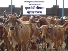 Mukhyamantri Gaumata Poshan Yojana