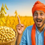 Soybean Bhavantar Yojana Madhya Pradesh